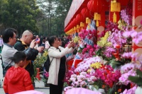 新春走基层丨朱根发：让兰花开进寻常百姓家