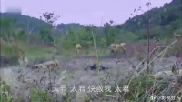 汉奸掉沼泽，鬼子却放他等死，汉奸当场心寒举枪叛变！