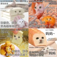 新词|窝囊废文学：另一种以退为进的生活姿态