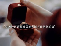 牛大力再次被拒绝，而汪新去和马燕领证，却被马燕父亲摆了一刀！