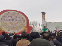 麦田乡音压风雪——2024年宝丰马街书会特写