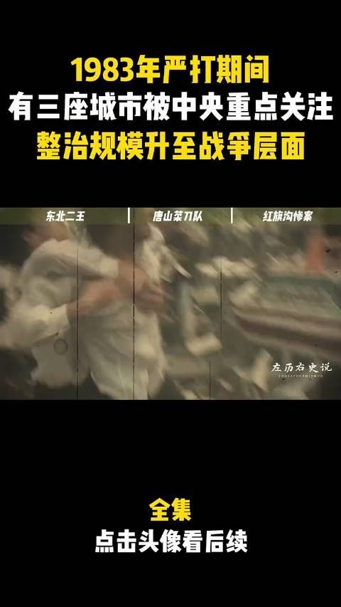 1983年严打期间,有三座城市被中央重点关注……