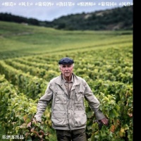 观点 | 勃艮第酒农说“酿酒师如助产士”，这话我不同意