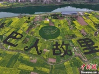 四川达州宣汉：油菜花拼出“巴人故里”图案