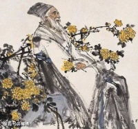 杜甫《叹庭前甘菊花》陈与义《九日赏菊》，两首诗都借菊花表达人生感慨
