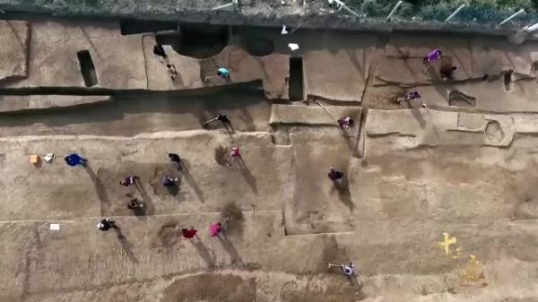 三星堆 被叫停,比夏更可怕的存在……