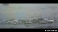 恶霸欺男霸女，没想碰到武功高强的打渔三兄弟，有好戏看了