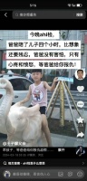 为人父母最看不得这一幕，王子耀父亲公布了和儿子最后的聊天记录，直到失联