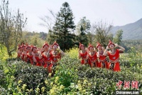 闽北祭茶喊山“喊”醒春茶