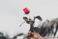 人老了，走不动了，有一件事最好守口如瓶，这才是真聪明