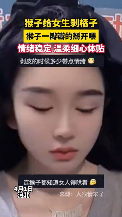 女子想吃橘子,猴子一瓣瓣的掰开喂,情绪稳定,温柔细心体贴
