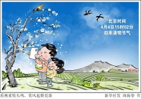 （图表·漫画）节令之美·清明｜看燕雀枝头鸣，赏风起梨花落