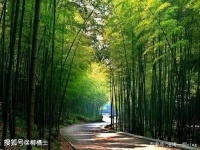 深耕自己，就是最大的远见