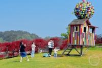 “春影”（277） | 上游主题摄影征稿作品展——程地英作品