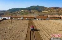 清明节的冷知识：如何从节气变成节日？