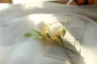 永远不要向任何人证明你自己