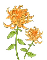 睹物思人 | 兄弟，院里的海棠花要开了……