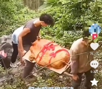 太公你在哪！翻山越岭硬核祭祖，清明是属于华南F3的“铁人三项”