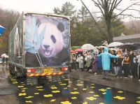“福宝”回到祖国，韩国民众泪别：一定会去中国看你！