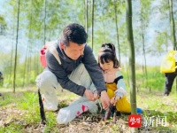 青团、茶干、野菜 清明风物里寄托思念也传递亲情