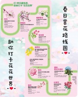 叮！春日赏花攻略 助你打卡“花花世界”