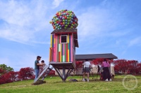 “春影”（284） | 上游主题摄影征稿作品展——吴琳惠作品