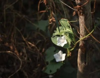 夜读 | 做到这点，你也能云淡风轻