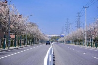 “樱”你美丽，“郁”见美好！