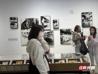 长沙：清明假期艺术展受热捧