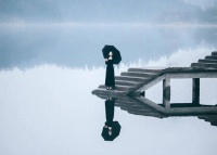 人越聪明，越平静