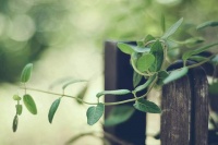 如果你想变好，就不能只想变好