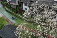 “春影”（291） | 上游主题摄影征稿作品展——杨敏作品