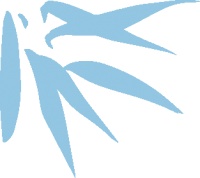 中国青年报冰点周刊秦珍子：记者的笔太重了，要慎重再慎重