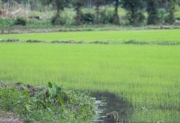 夜读｜生活遇到烦心事，要学会自己提供“情绪价值”