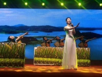 邵阳作协第二届年会文艺联欢晚会在邵东举行