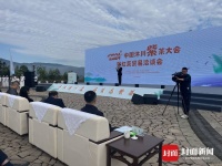 四川沐川紫茶大会召开 陆羽奉为上品的“紫茶”是哪样“紫”？