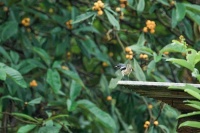 夜读 | 人变强大以后，就只剩下这两个字