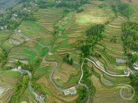 “春影”（299） | 上游主题摄影征稿作品展——赵勇作品