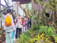 昆明植物园首届兰花展开幕