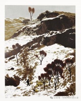 刘亮程：寒风吹彻