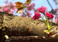 到了中年的女人，不做以下3件事，是觉醒的开始