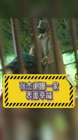 张杰谢娜带娃主打一个手忙脚乱 同时带三个娃去迪士尼也是很有勇气的啊！