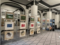 浙江千岛湖梓桐新农人用艺术绘就产业致富路