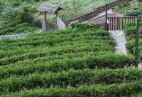 夜读｜有时候，看脸就知道