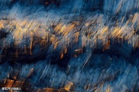 【荐读】蔡澜 ：人绝对可以貌相