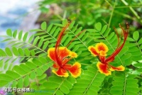 坚持做这5件事，让自己更充实