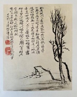 张长虹︱试解石涛的“不从门入”