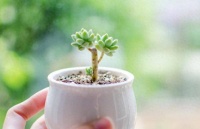 人过六十，不管儿女多孝顺，也要关好这三扇门