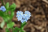 诗词丨8首最美治愈诗，字字句句抚人心