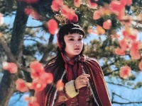 从《红楼梦》中李嬷嬷怒骂袭人，看曹雪芹笔下的人性